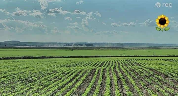 Campo agrícola de 640 hectareas en Caazapá - Distrito de 3 de Mayo Mecanización: el 100 % — foto 3