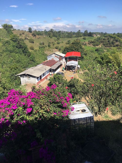 Finca en venta en Condina, Pereira, 150 m² · foto 2 de 4