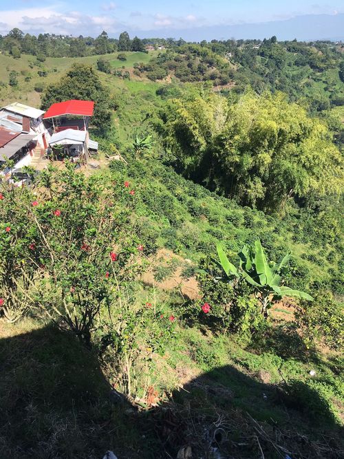 Finca en venta en Condina, Pereira, 150 m² · foto 4 de 4