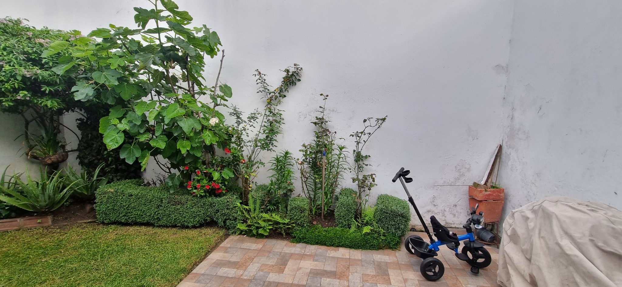 Casa en venta en Cedritos, Bogotá · foto 15 de 15
