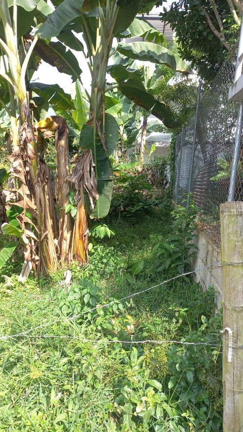 Lote en venta en Altagracia, Pereira, 83 m² · foto 2 de 4