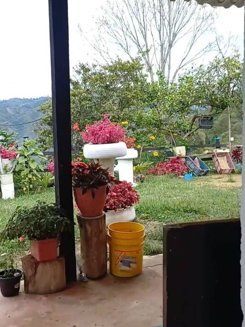 Finca en venta en Campo Verde, Piedecuesta, 60 m² · foto 3 de 6