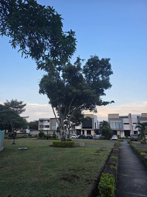 Lote en venta en Las Mercedes, Jamundí, 261 m² · foto 11 de 20