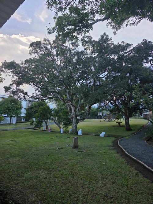 Lote en venta en Las Mercedes, Jamundí, 261 m² · foto 14 de 20