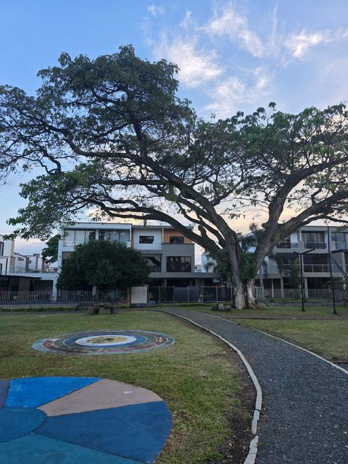 Lote en venta en Las Mercedes, Jamundí, 261 m² · foto 19 de 20