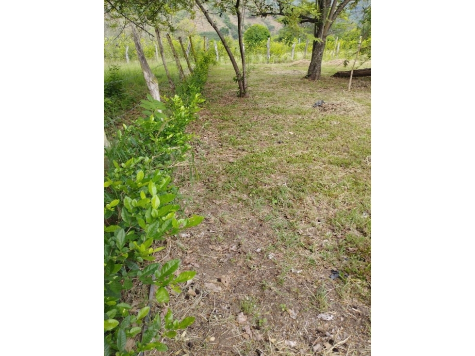 Land in Santafe de antioquia (3119 m²) for Sale - 4