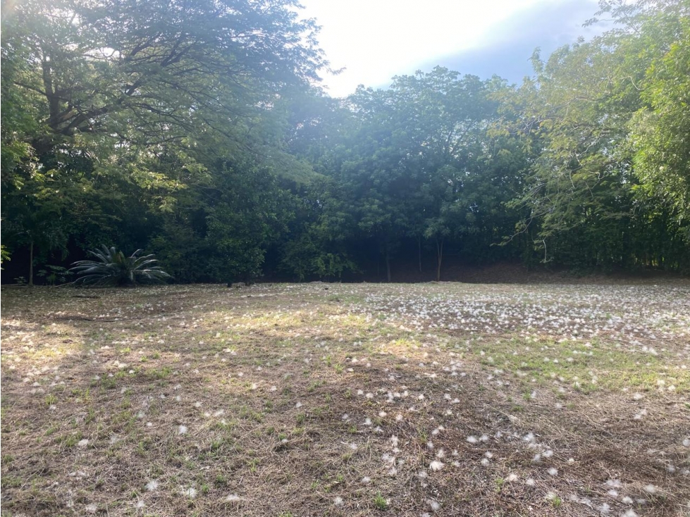 Land in Santafe de antioquia (4305 m²) for Sale - 3