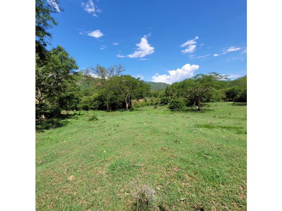 Land in Santafe de antioquia for Sale - 4