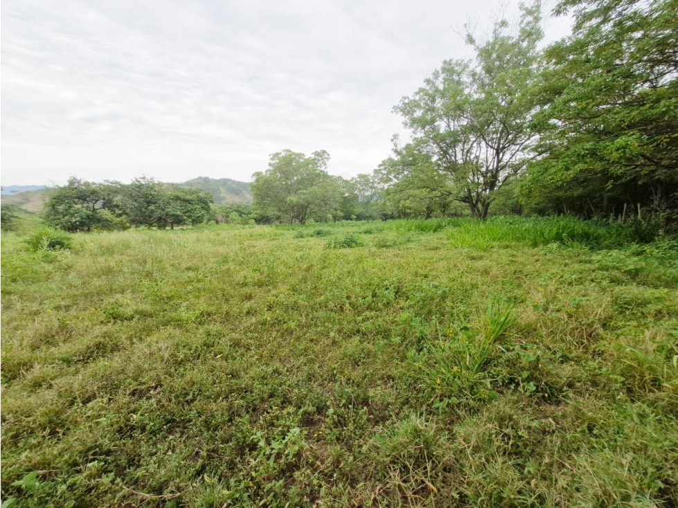 Land in Santafe de antioquia for Sale