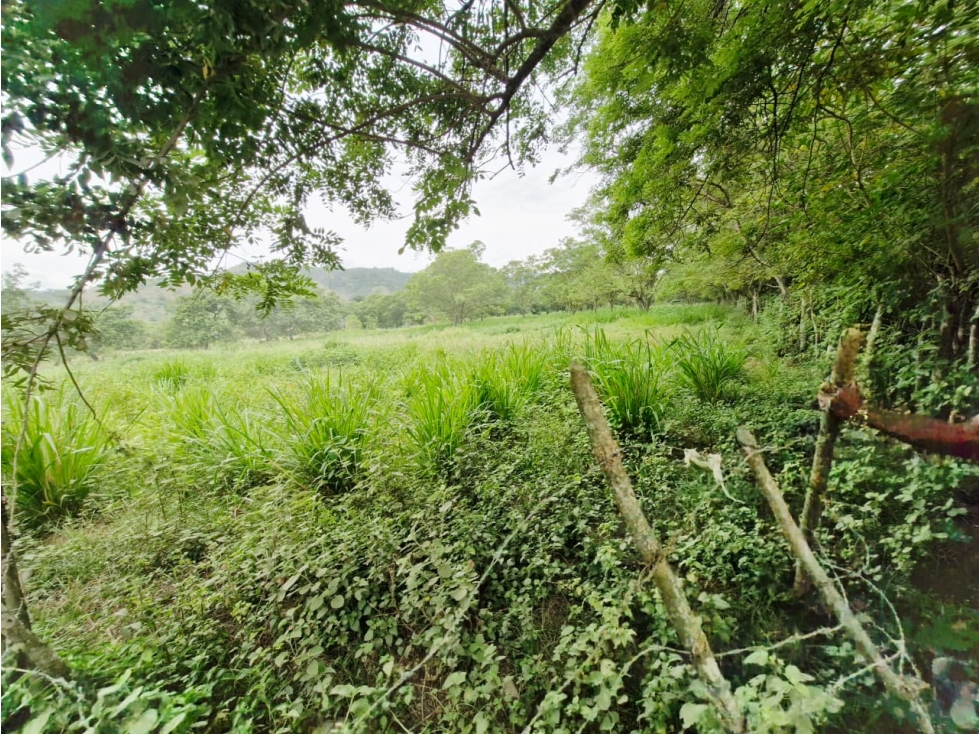 Land in Santafe de antioquia for Sale - 2