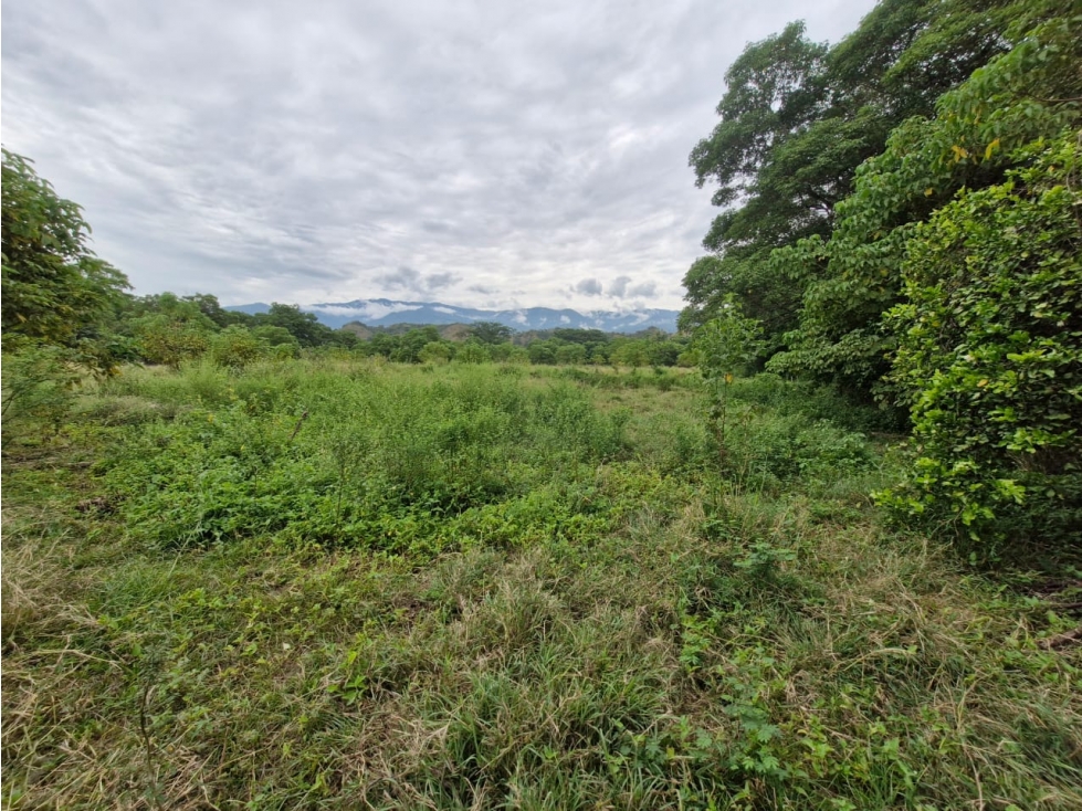 Land in Santafe de antioquia for Sale - 3
