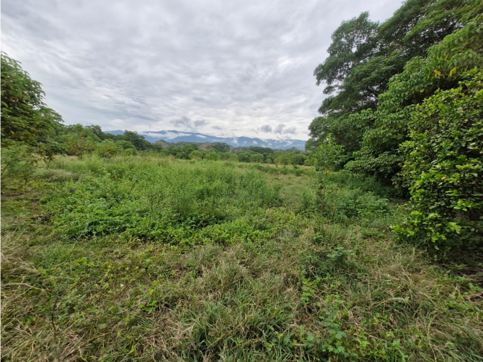 Land in Santafe de antioquia for Sale - 4