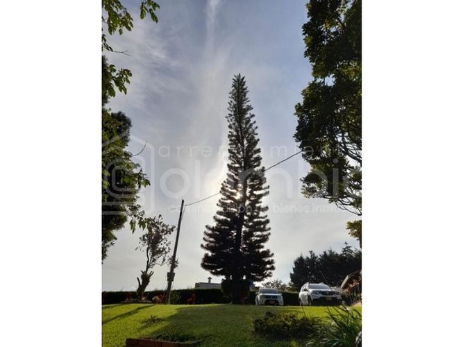 Casa de 4 alcobas en venta en La Laja, Rionegro, 200 m² · foto 4 de 24