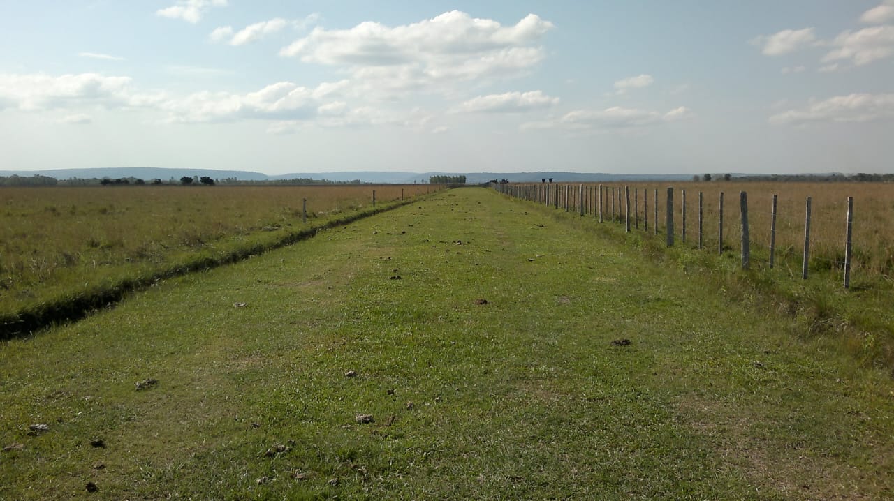 Estancia Ganadera en Produccion. Mbuyapey. Paraguari — foto 3