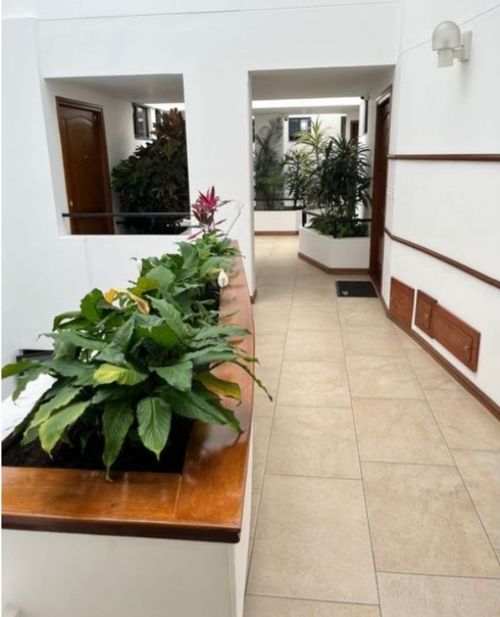 Apartamento de 3 alcobas en venta en San Patricio, Bogotá, 206 m² · foto 12 de 12