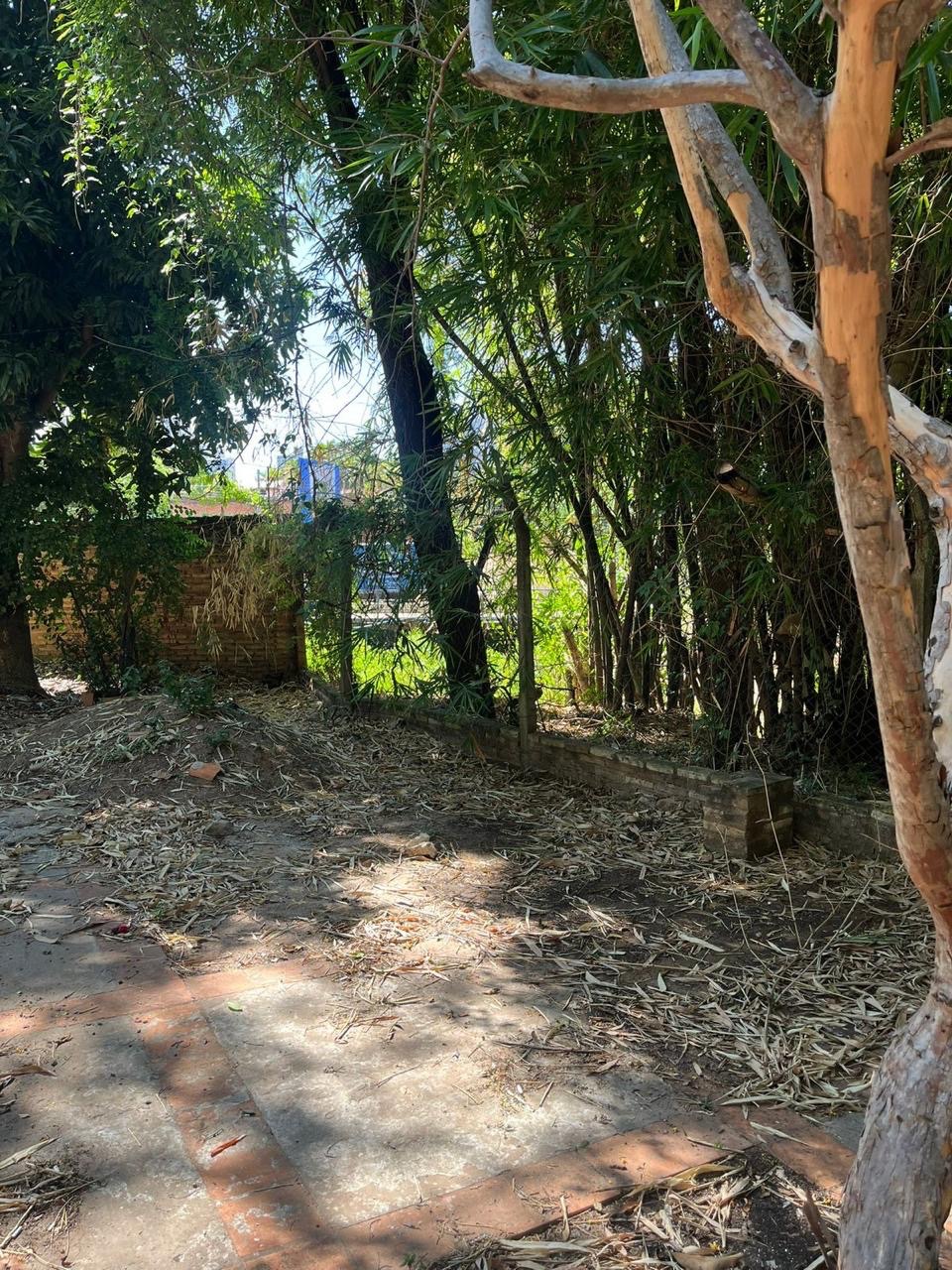 VENDO TERRENO DE 1888 M2 SOBRE AVENIDA MOLAS LOPEZ — foto 3