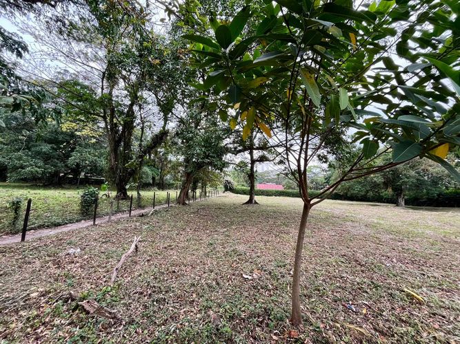 Lote en venta en Vanguardia, Villavicencio, 3225 m² · foto 5 de 9