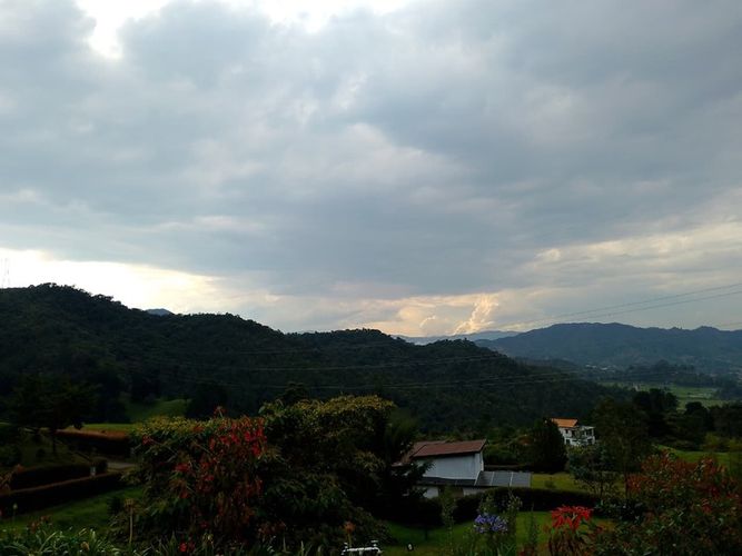 Finca en arriendo en El Tambo, La Ceja, 200 m² · foto 22 de 23