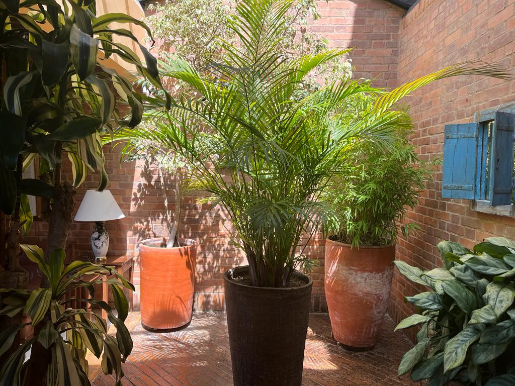 Casa en venta en Bosque De Pinos, Bogotá · foto 13 de 19