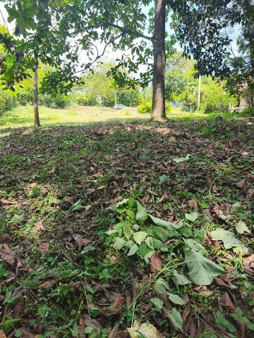 Lote en venta en Ruitoque Bajo, Floridablanca, 1531 m² · foto 5 de 14