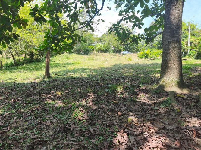 Lote en venta en Ruitoque Bajo, Floridablanca, 1531 m² · foto 8 de 14