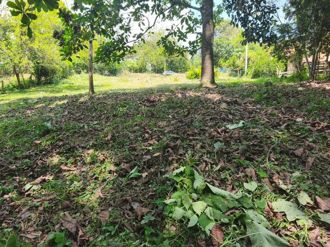 Lote en venta en Ruitoque Bajo, Floridablanca, 1531 m² · foto 3 de 14