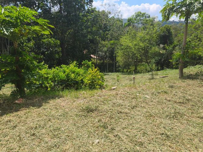 Lote en venta en Ruitoque Bajo, Floridablanca, 1531 m² · foto 12 de 14