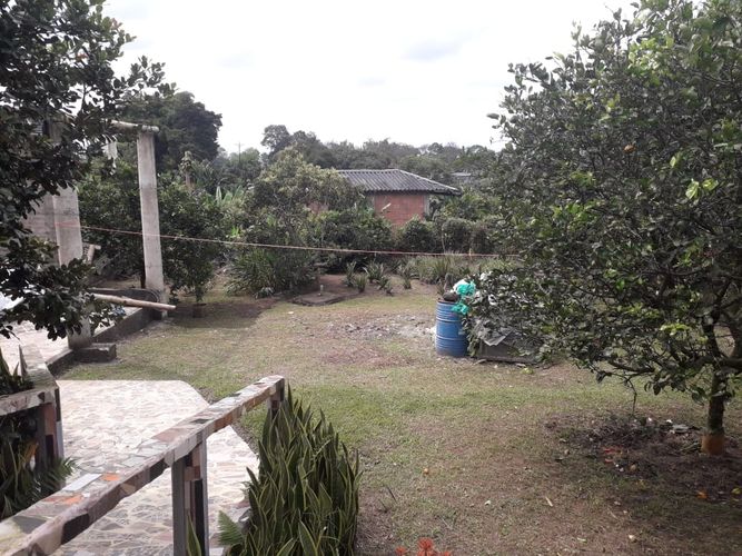 Finca en venta en Morelia, Pereira, 758 m² · foto 4 de 9