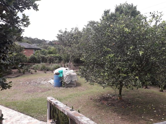 Finca en venta en Morelia, Pereira, 758 m² · foto 5 de 9