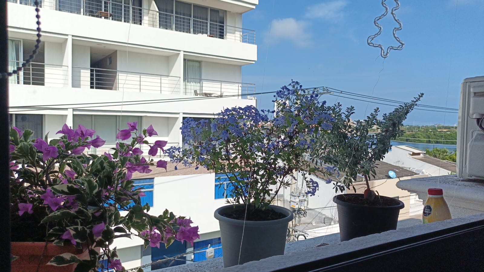 Casa en venta en Manga, Cartagena · foto 8 de 13