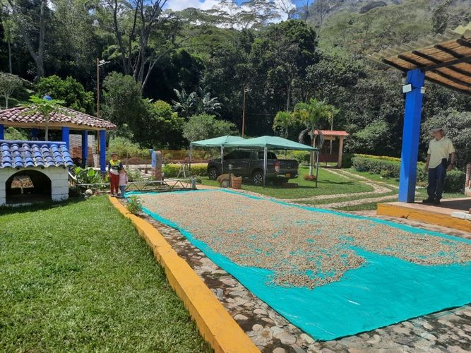 Finca en venta en Mesa De Los Santos, Piedecuesta, 170 m² · foto 13 de 18