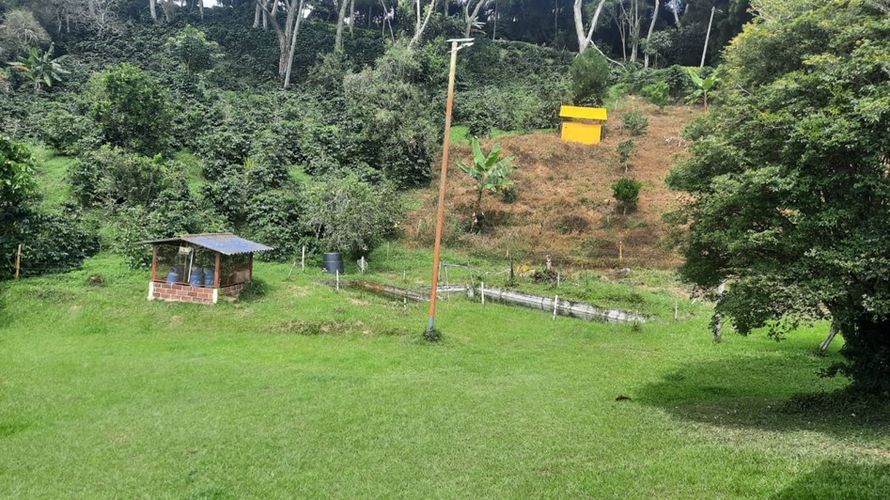 Finca en venta en Mesa De Los Santos, Piedecuesta, 170 m² · foto 14 de 18