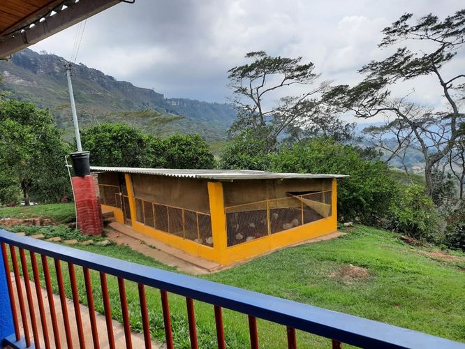 Finca en venta en Mesa De Los Santos, Piedecuesta, 170 m² · foto 17 de 18