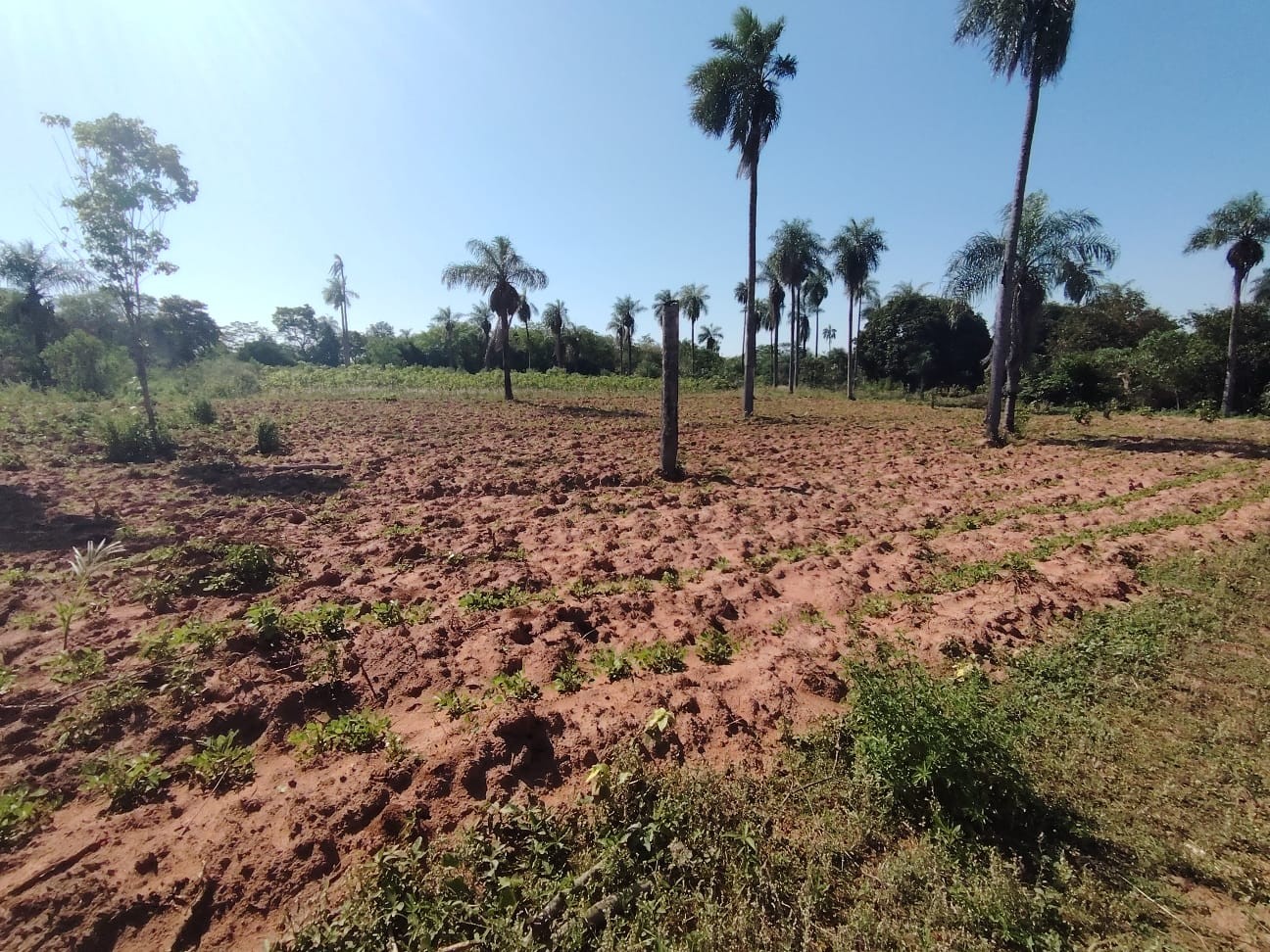Venta — foto 2