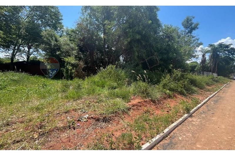 VENDO Terreno de 1 Hectárea en LUQUE.  550,000 $ — foto 3