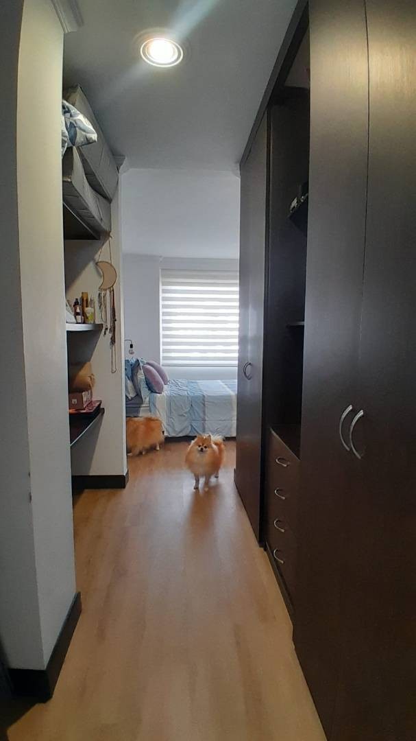 Apartamento en venta en Lisboa Usaquén, Bogotá · foto 23 de 24