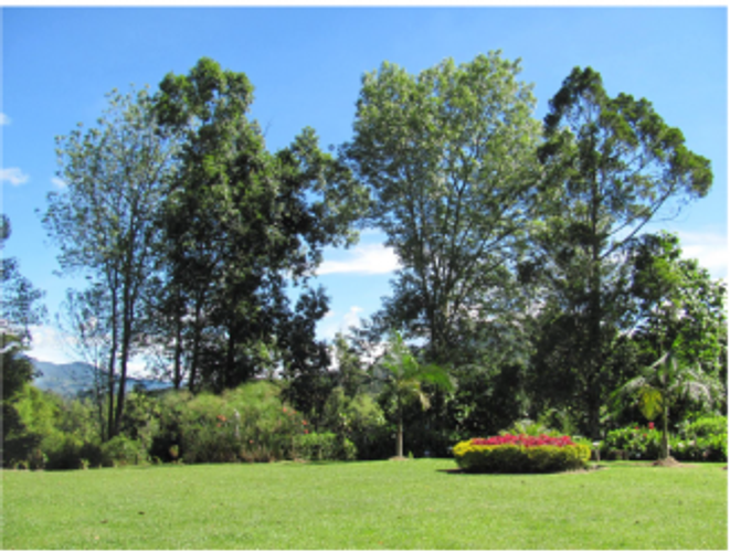 Casa de 4 alcobas en venta en Los Colegios, Rionegro, 493 m² · foto 4 de 18