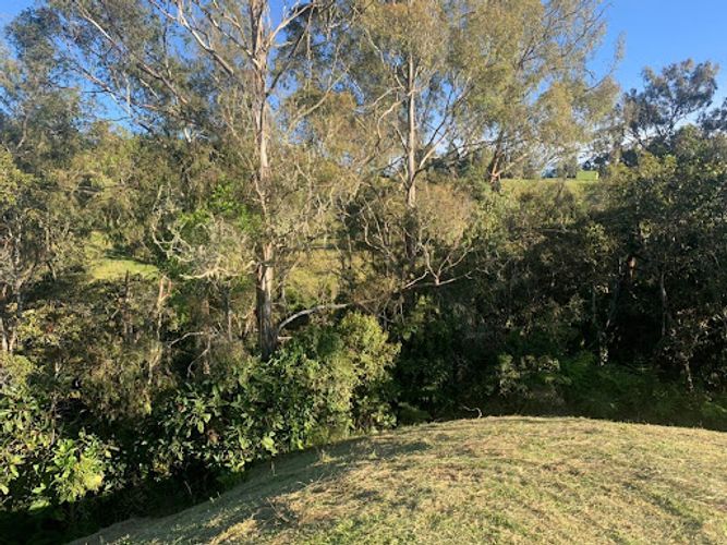 Lote en venta en Mesa, Envigado, 4269 m² · foto 4 de 9
