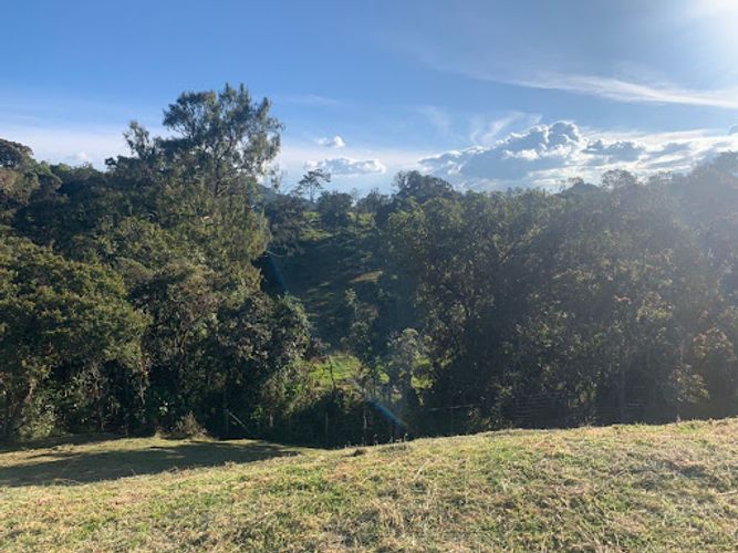 Lote en venta en Mesa, Envigado, 4269 m² · foto 6 de 9