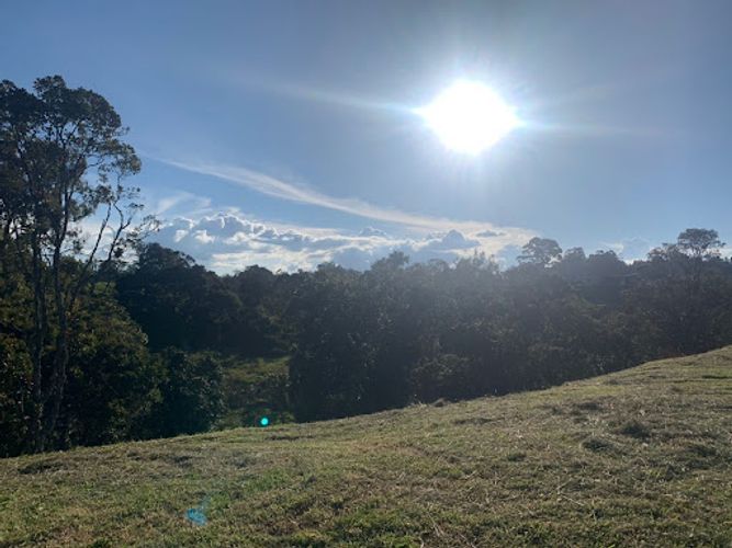 Lote en venta en Mesa, Envigado, 4269 m² · foto 8 de 9