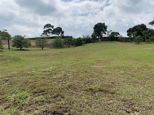Land in El porvenir (2550 m²) for Sale - 3