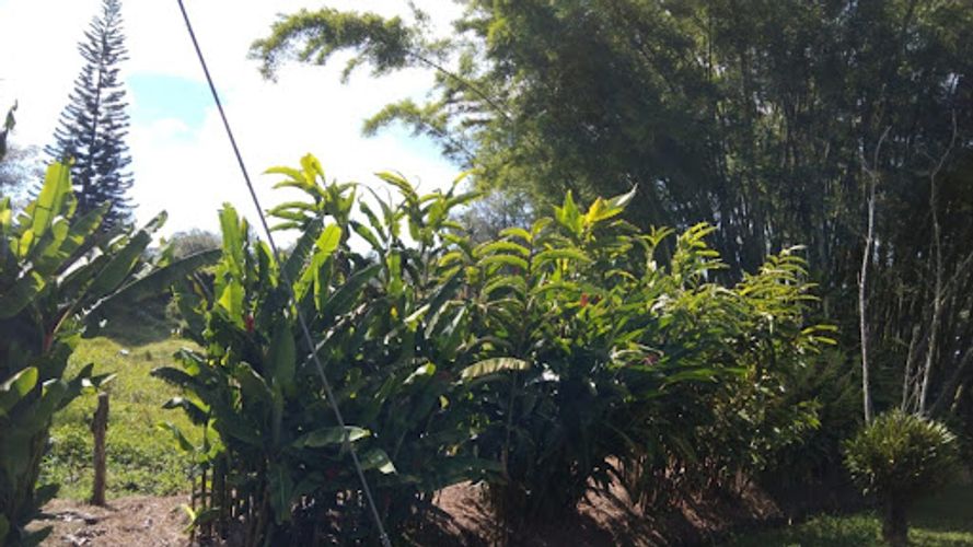 Lote en venta en Llano Grande, Rionegro · foto 2 de 10