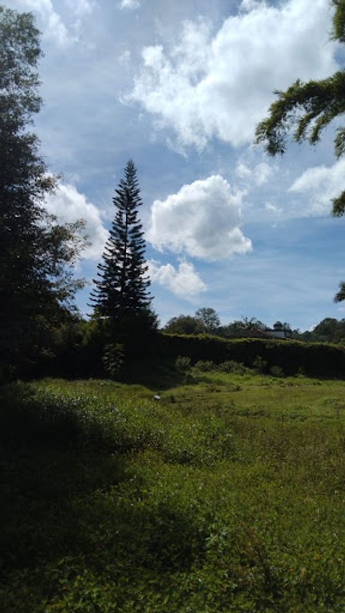 Lote en venta en Llano Grande, Rionegro · foto 8 de 10