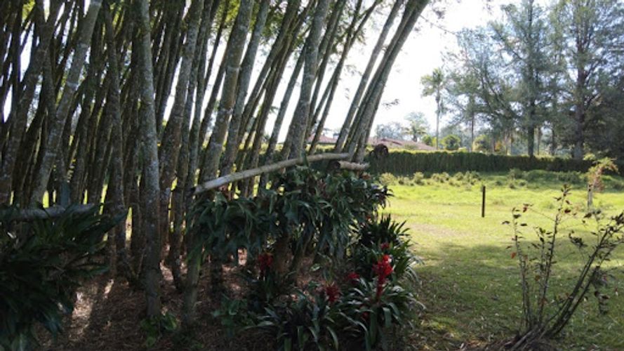 Lote en venta en Llano Grande, Rionegro · foto 9 de 10