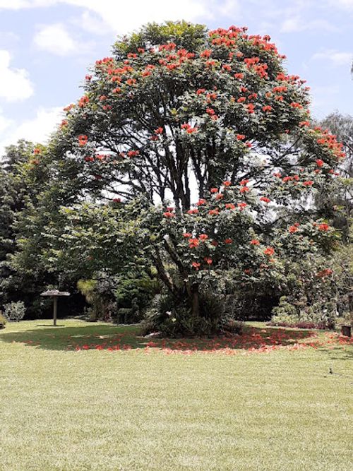 Casa de 3 alcobas en venta en Llano Grande, Rionegro, 348 m² · foto 9 de 24