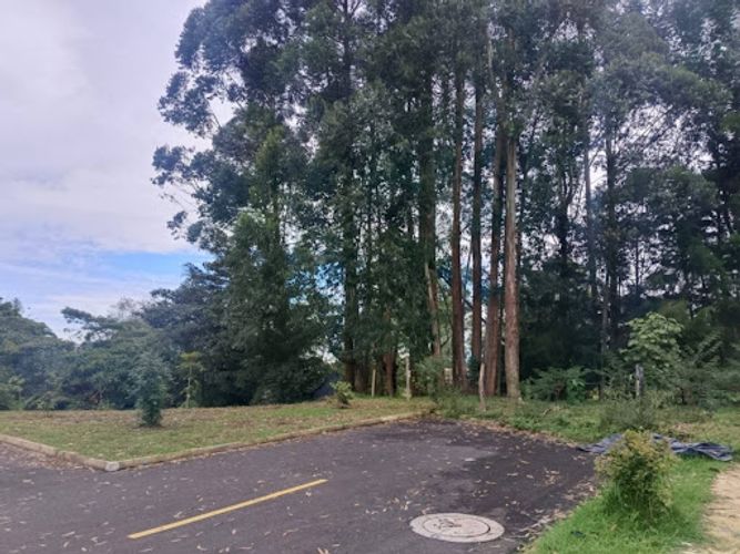 Lote en venta en Lomitas, La Ceja, 102 m² · foto 2 de 7