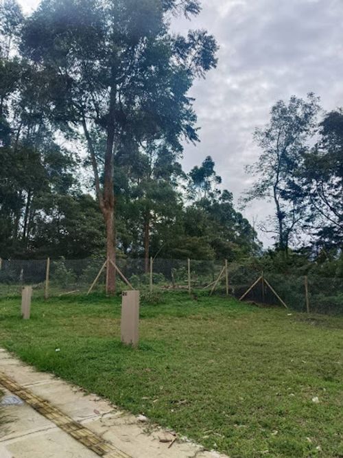 Lote en venta en Lomitas, La Ceja, 102 m² · foto 5 de 7