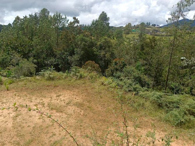 Lote en venta en Pantanillo, El Retiro, 1348 m² · foto 2 de 10