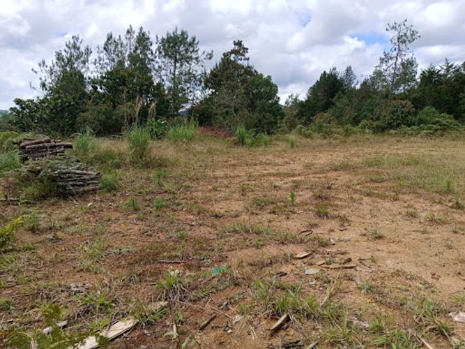Lote en venta en Pantanillo, El Retiro, 1348 m² · foto 4 de 10