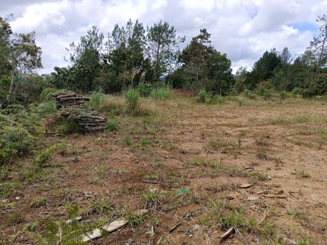 Lote en venta en Pantanillo, El Retiro, 1348 m² · foto 5 de 10